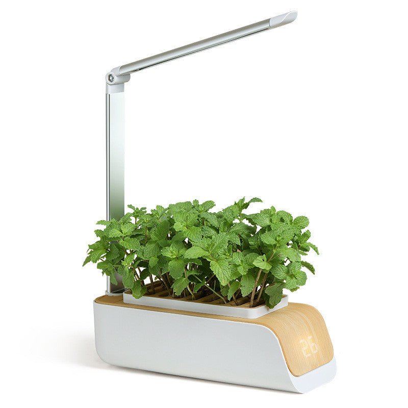 Indoor Herb Garden Hydroponic Kit 12-Pod – Smart LED Grow Light, Auto Ti... — View 9