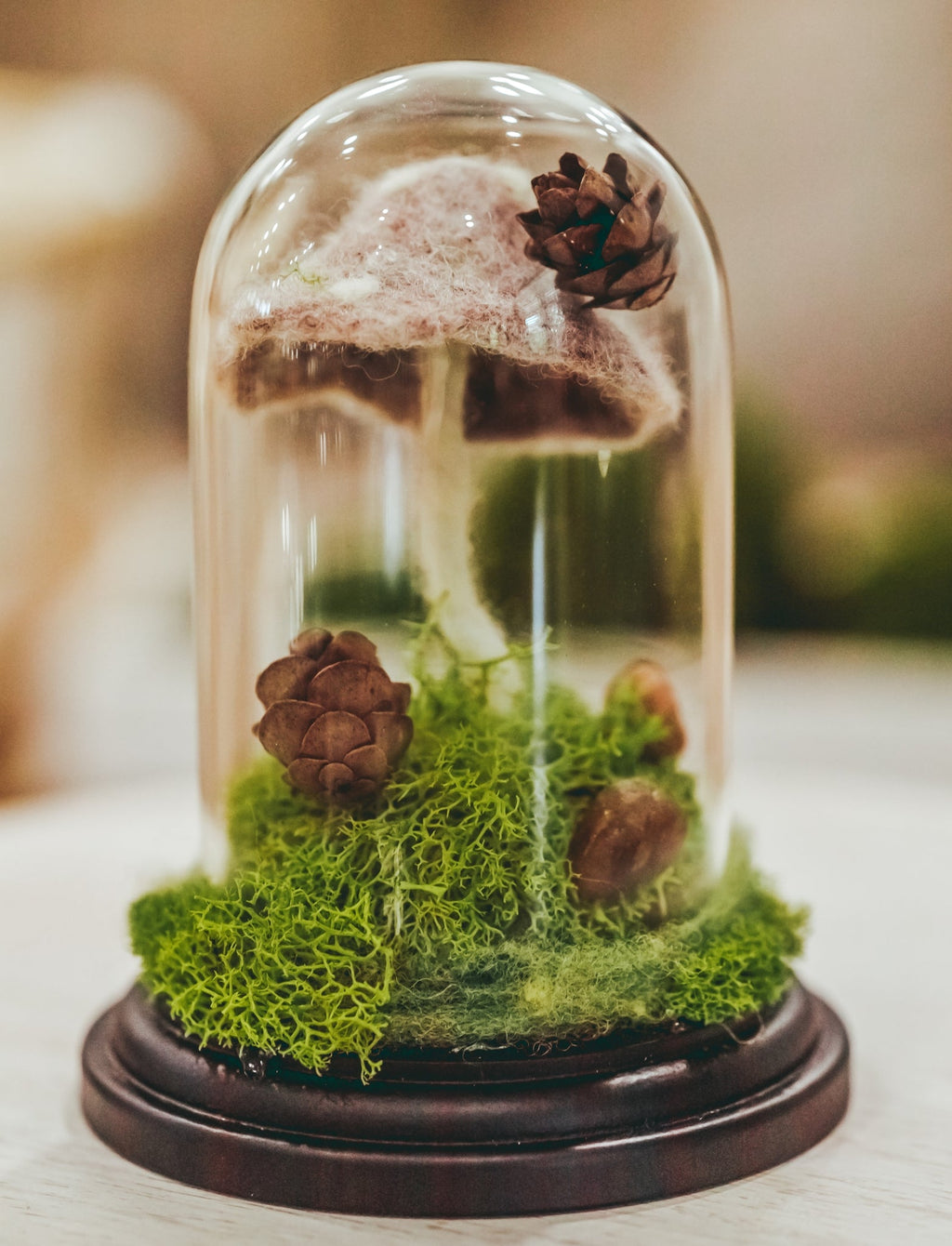 Preserved Moss Terrarium in Glass Dome — Low-Maintenance Botanical Decor with Wooden Base