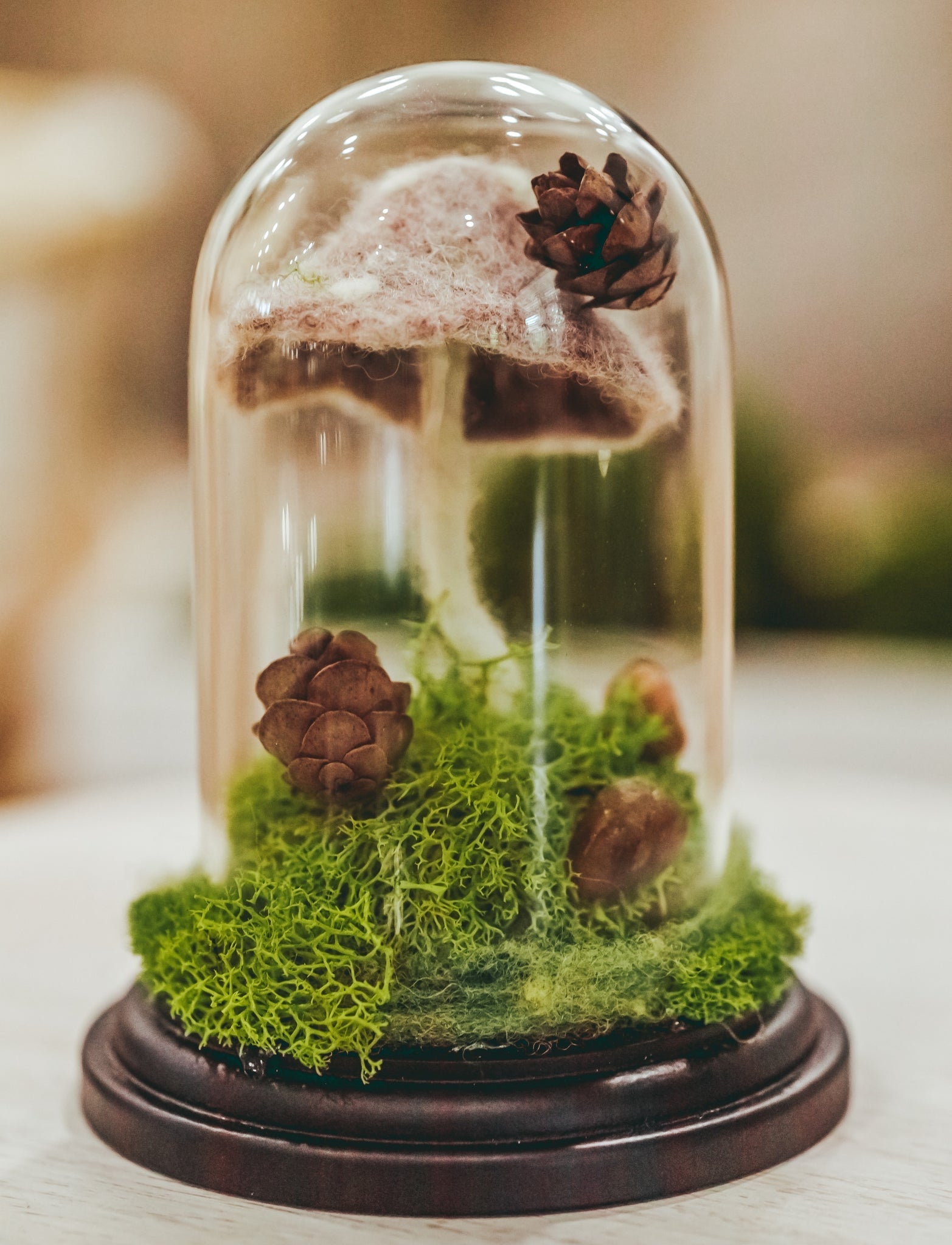 Preserved Moss Terrarium in Glass Dome — Low-Maintenance Botanical Decor with Wooden Base