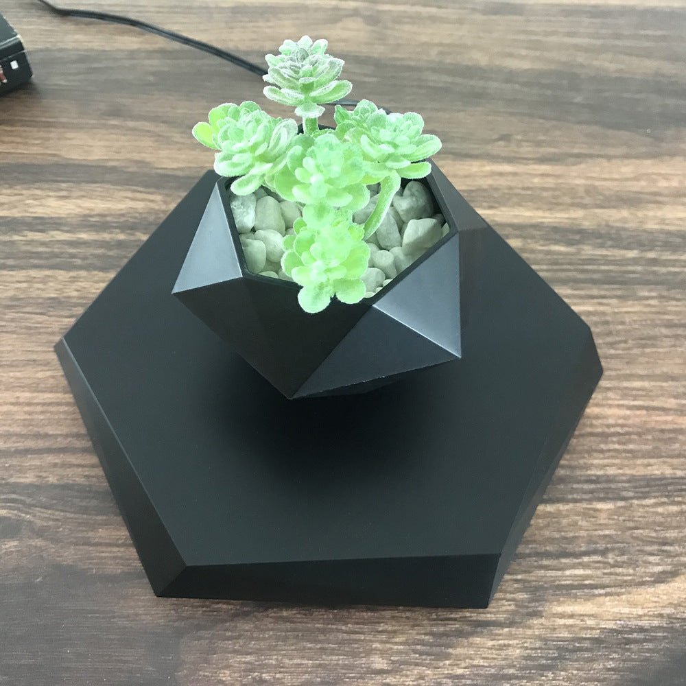 Magnetic Levitating Plant Pot – Floating 360° Rotating Bonsai Planter Succulent Home Decor Gift - Quincelle.co