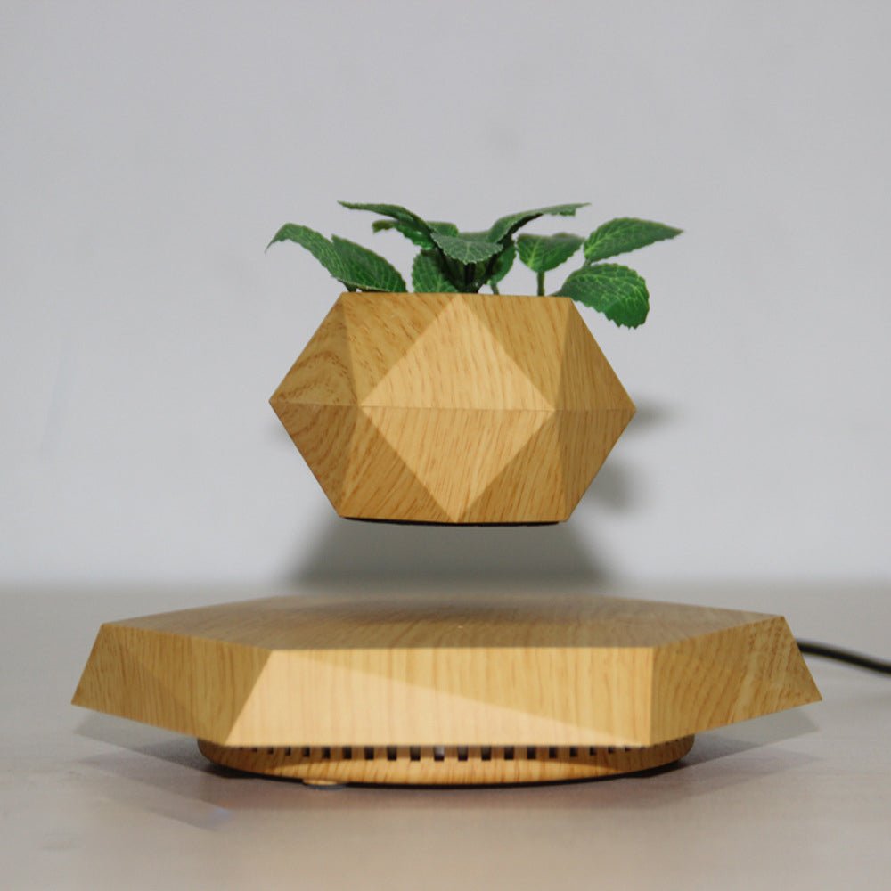Magnetic Levitating Plant Pot – Floating 360° Rotating Bonsai Planter Succulent Home Decor Gift - Quincelle.co