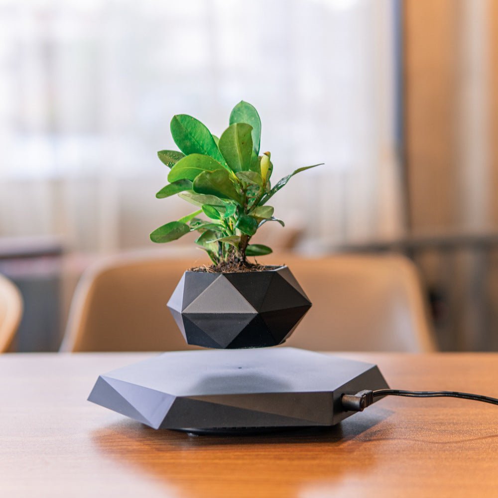 Magnetic Levitating Plant Pot – Floating 360° Rotating Bonsai Planter Succulent Home Decor Gift - Quincelle.co