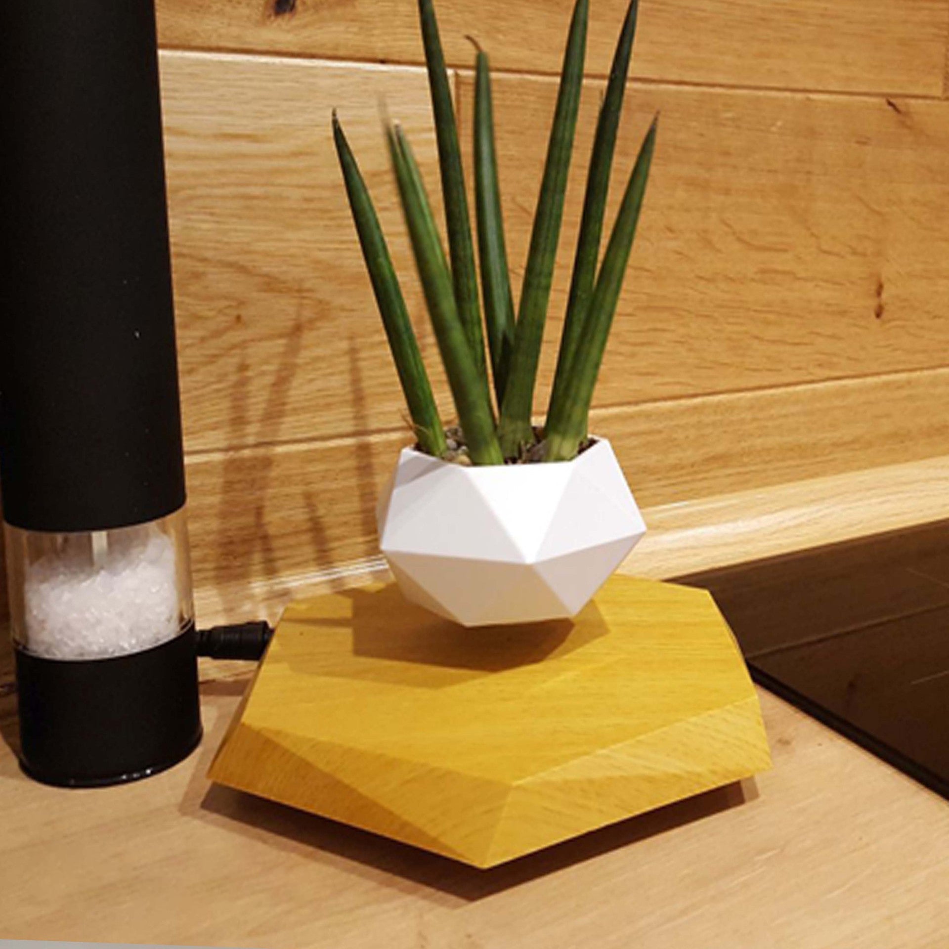 Magnetic Levitating Plant Pot – Floating 360° Rotating Bonsai Planter Succulent Home Decor Gift - Quincelle.co