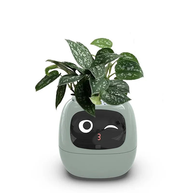 Quincelle: Smart Planter with AI — View 9