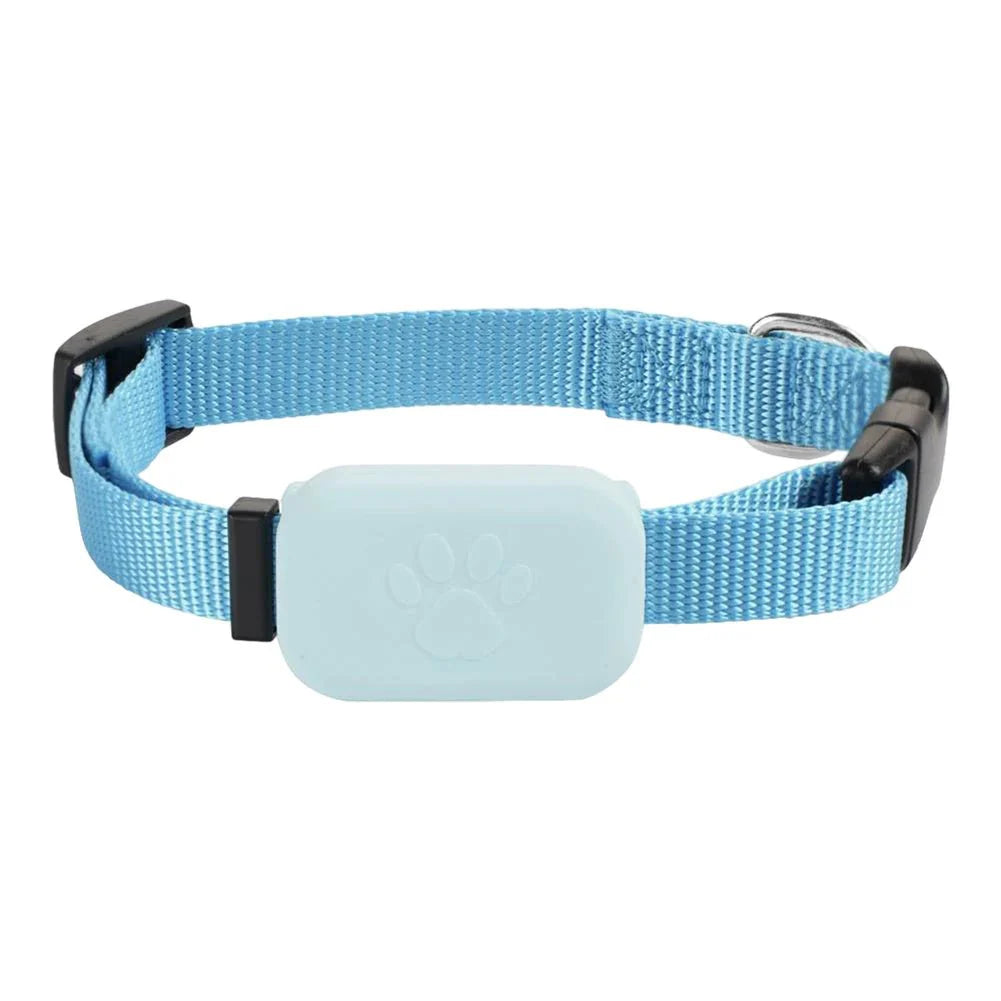 Pet GPS Tracker Adjustable Collar Dog Cat Real - Time Locator No Subscription No SIM 365 - Day Battery - Quincelle.co