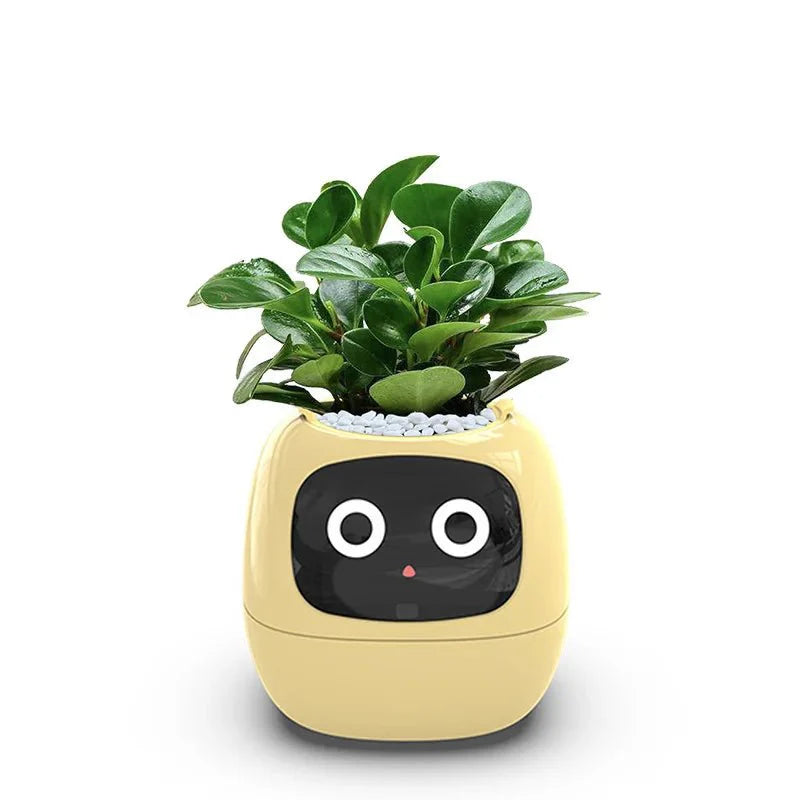 Quincelle: Smart Planter with AI — View 7