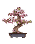 Rolife™ Eternal Bonsai Series | 3D Wooden Sakura & Evergreen Pine Puzzle Kit - Quincelle.co