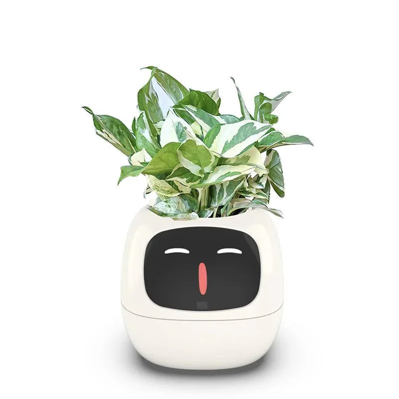 Quincelle: Smart Planter with AI — View 6