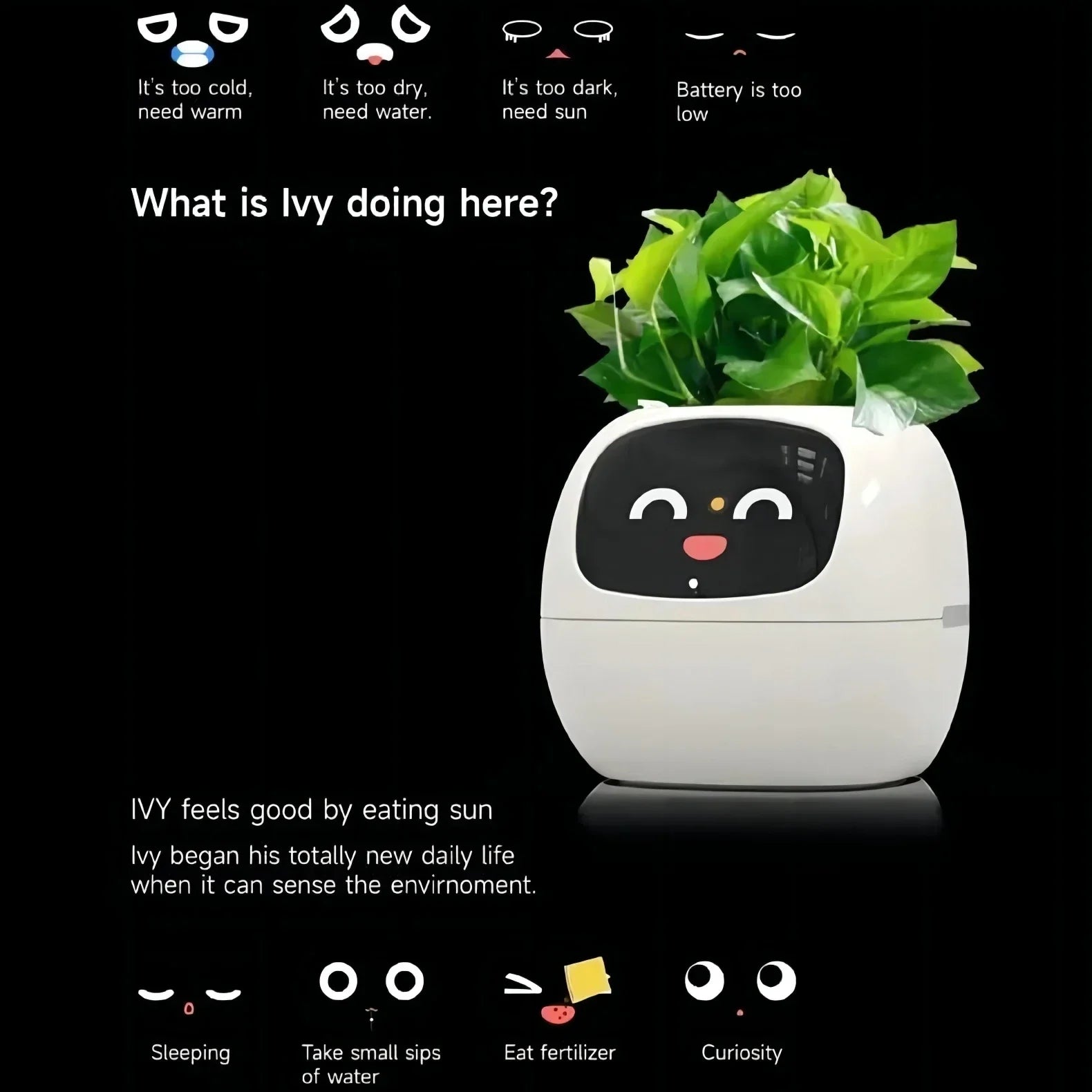 Quincelle: Smart Planter with AI — View 3