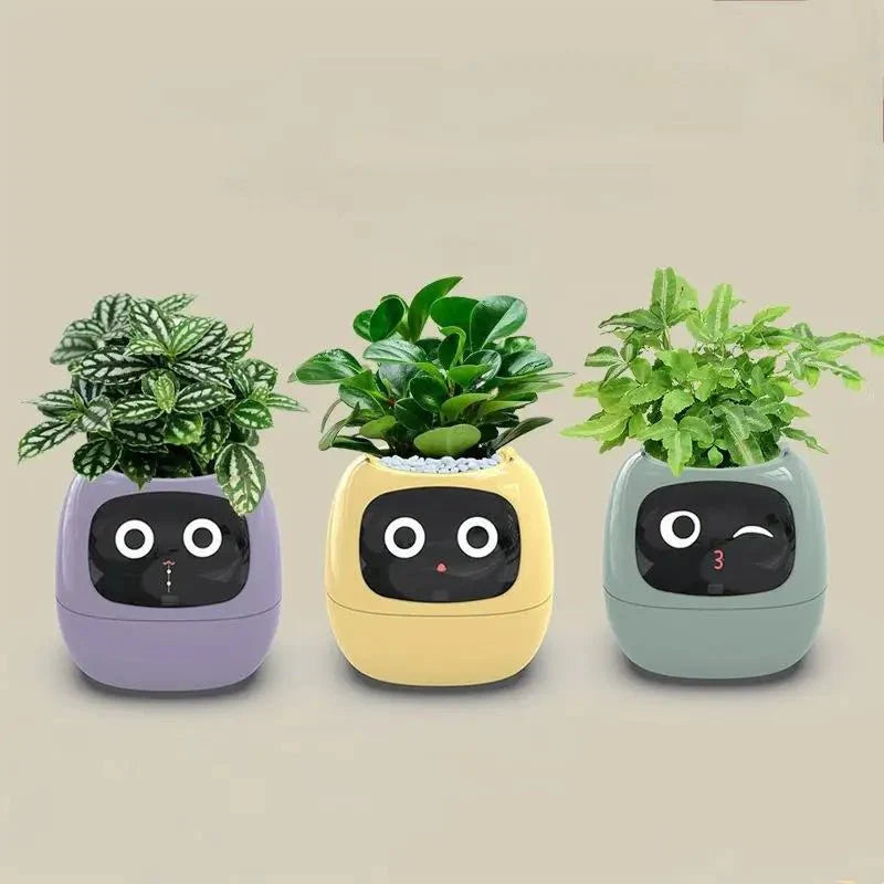 Quincelle: Smart Planter with AI — Gift Idea