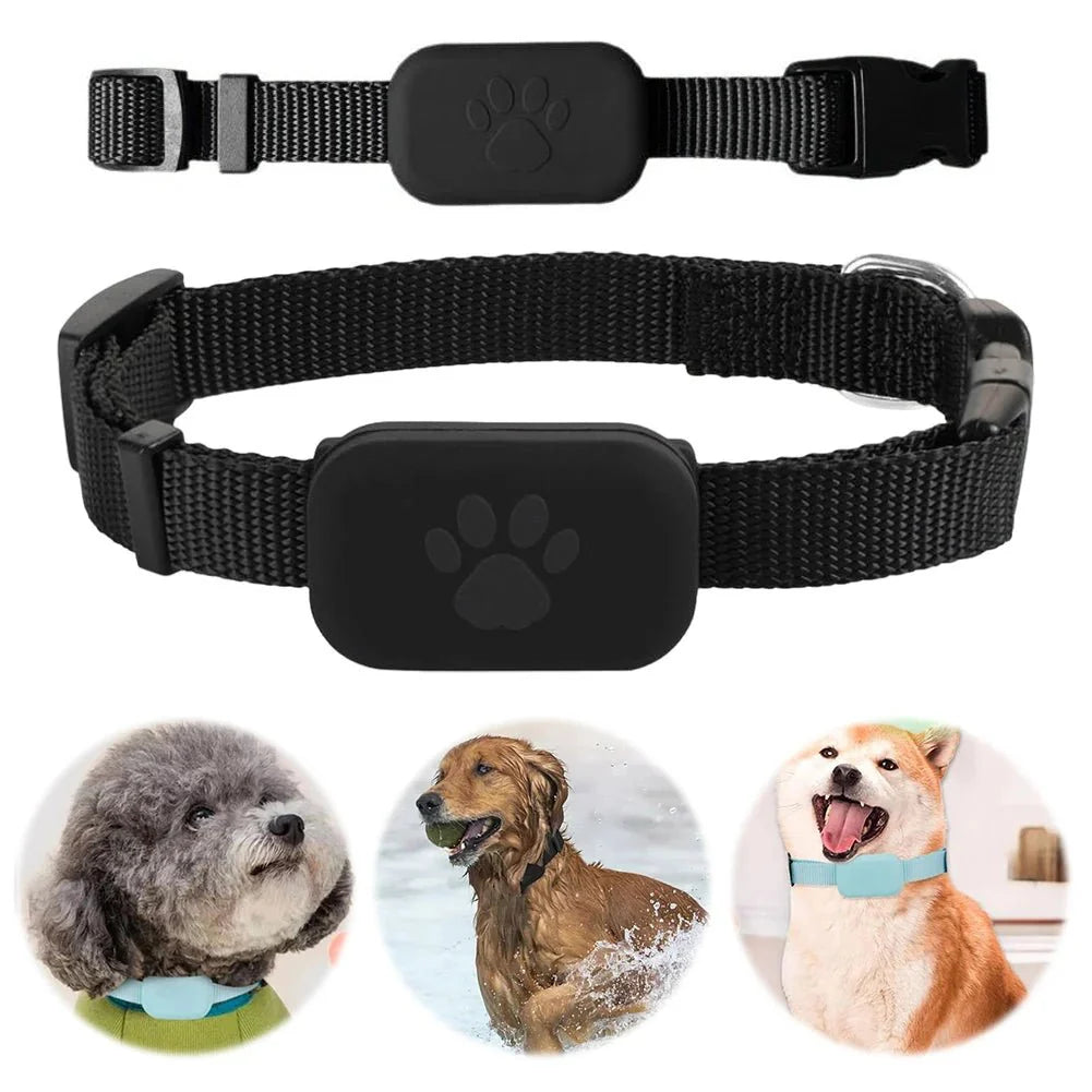 Pet GPS Tracker Adjustable Collar Dog Cat Real - Time Locator No Subscription No SIM 365 - Day Battery - Quincelle.co