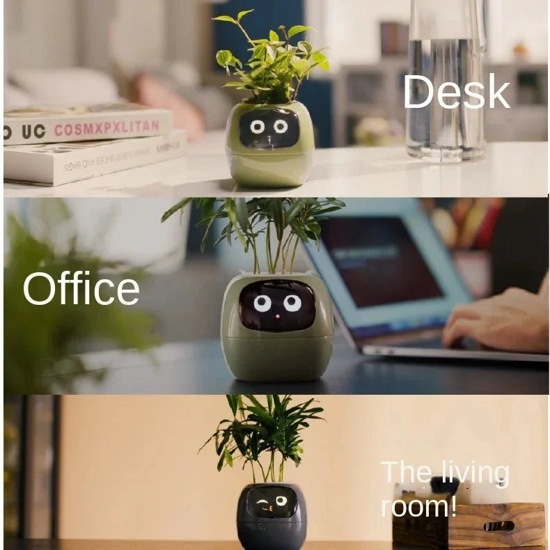 Quincelle: Smart Planter with AI — View 2