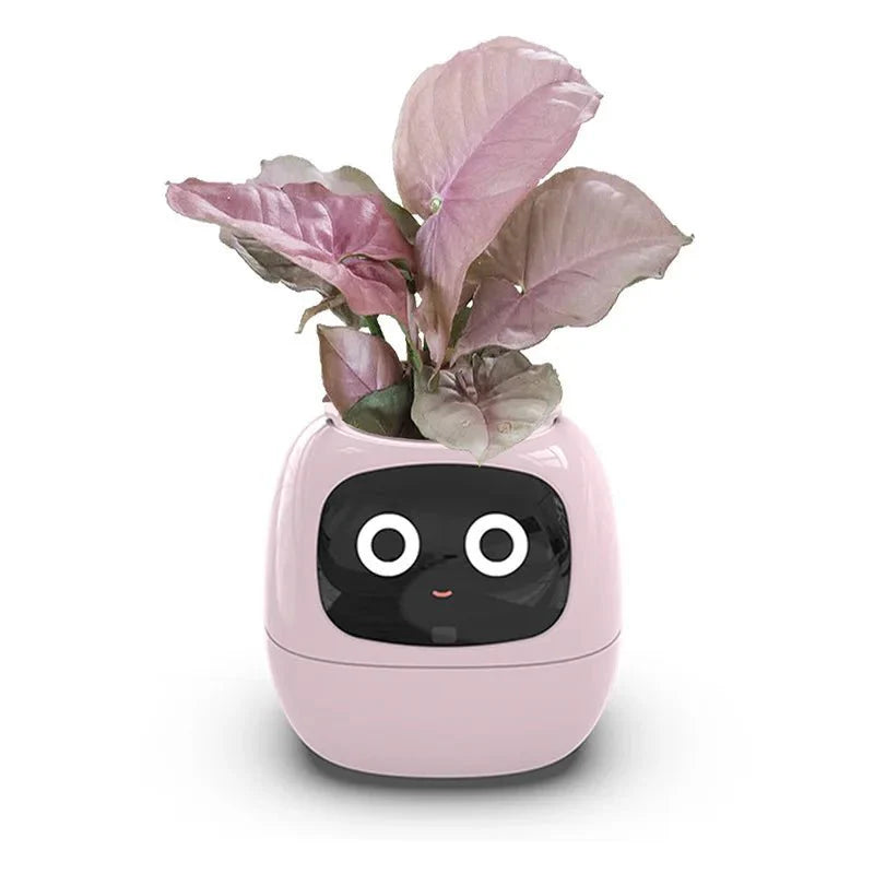 Quincelle: Smart Planter with AI — View 10