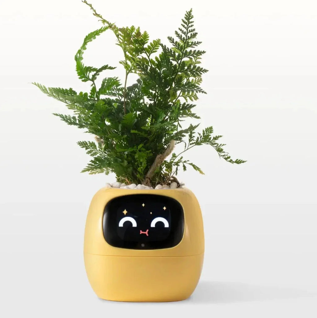 Quincelle: Smart Planter with AI — View 4