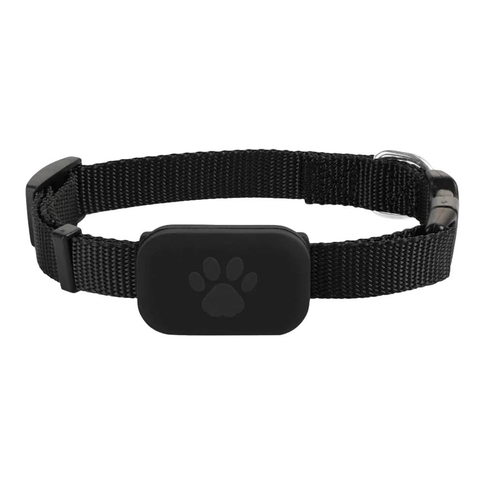 Pet GPS Tracker Adjustable Collar Dog Cat Real - Time Locator No Subscription No SIM 365 - Day Battery - Quincelle.co