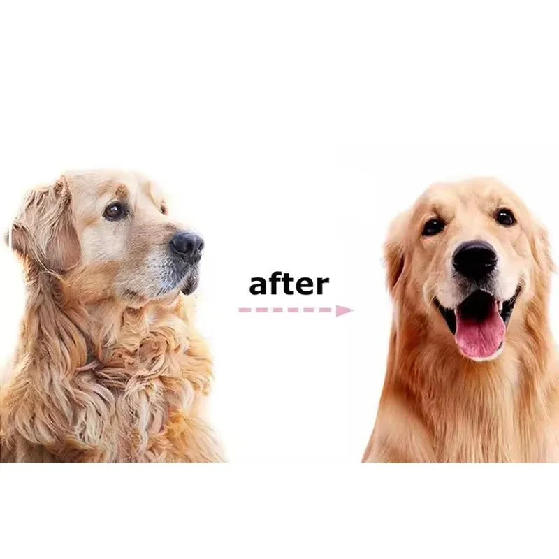 Professional 2 - Sided Pet Grooming Brush – The Ultimate 2 - in - 1 Undercoat Solution - Quincelle.co