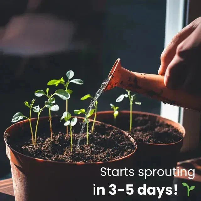 Eco-Friendly Plantable Seed Calendar 2026 – 12 Month Biodegradable Wildf... — View 7