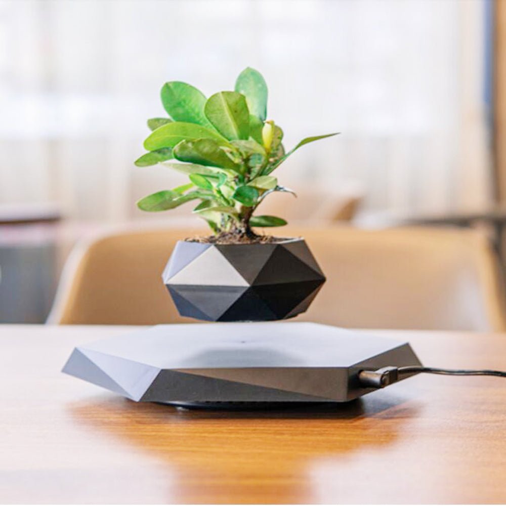 Magnetic Levitating Plant Pot – Floating 360° Rotating Bonsai Planter Succulent Home Decor Gift - Quincelle.co