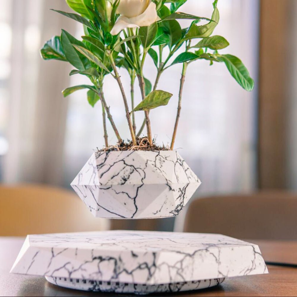 Magnetic Levitating Plant Pot – Floating 360° Rotating Bonsai Planter Succulent Home Decor Gift - Quincelle.co