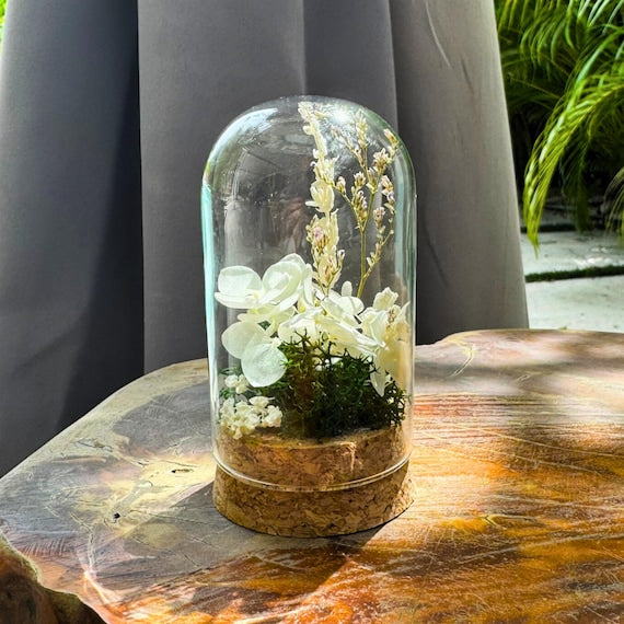 Preserved Moss Terrarium in Glass Dome — Low-Maintenance Botanical Decor with Wooden Base
