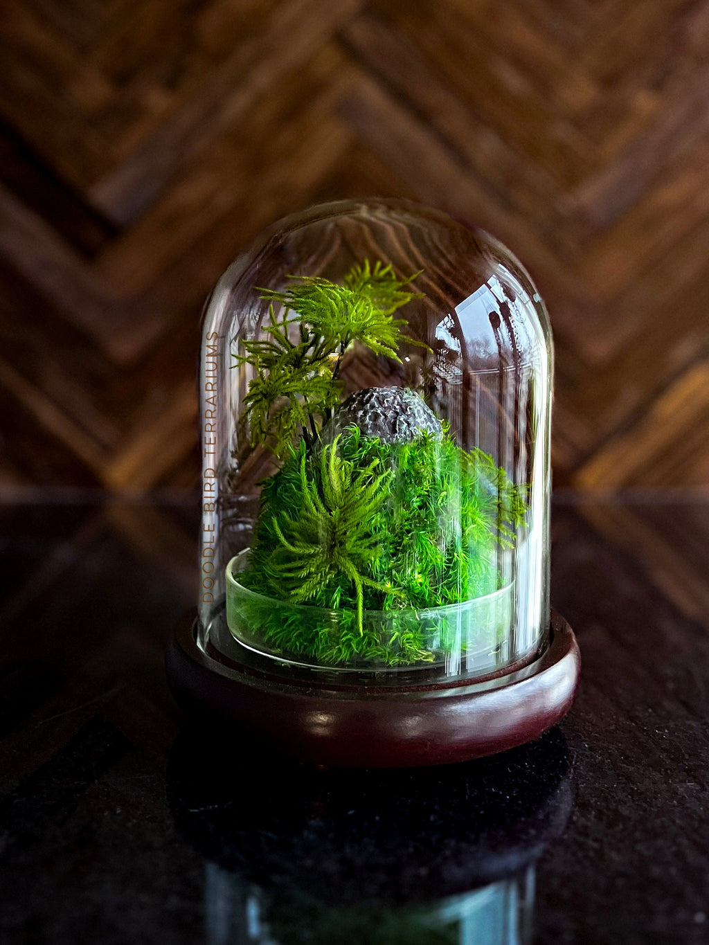 Preserved Moss Terrarium in Glass Dome — Low-Maintenance Botanical Decor with Wooden Base