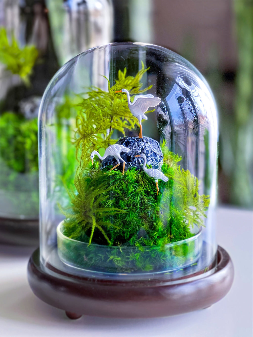 Preserved Moss Terrarium in Glass Dome — Low-Maintenance Botanical Decor with Wooden Base