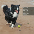 PawGuard: Pet Dog Coat Outdoor Jacket, Waterproof Winter Reflective Raincoat - Quincelle.co