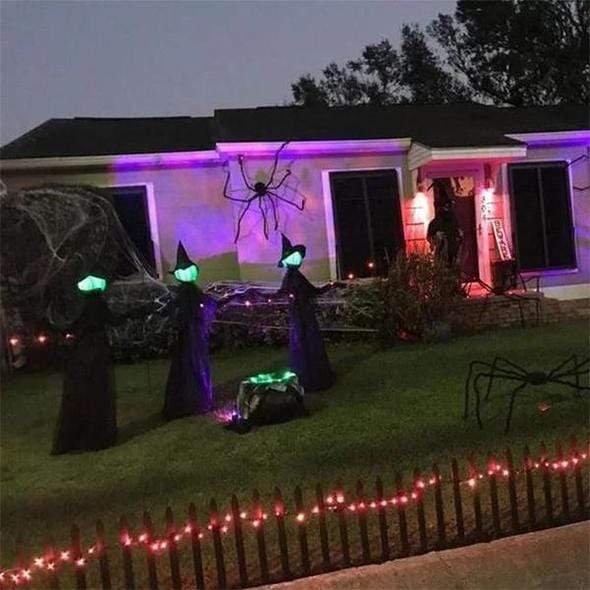 WitchCrow: Halloween Witch Coven Decoration Set - Quincelle.co