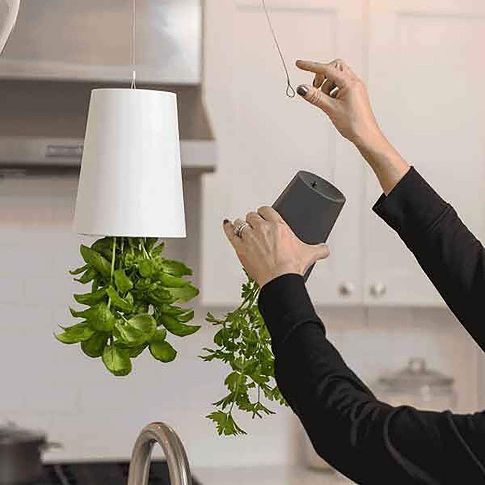 Sky Garden - Upside - Down Plant Flower Pot Hanging Planter - Quincelle.co
