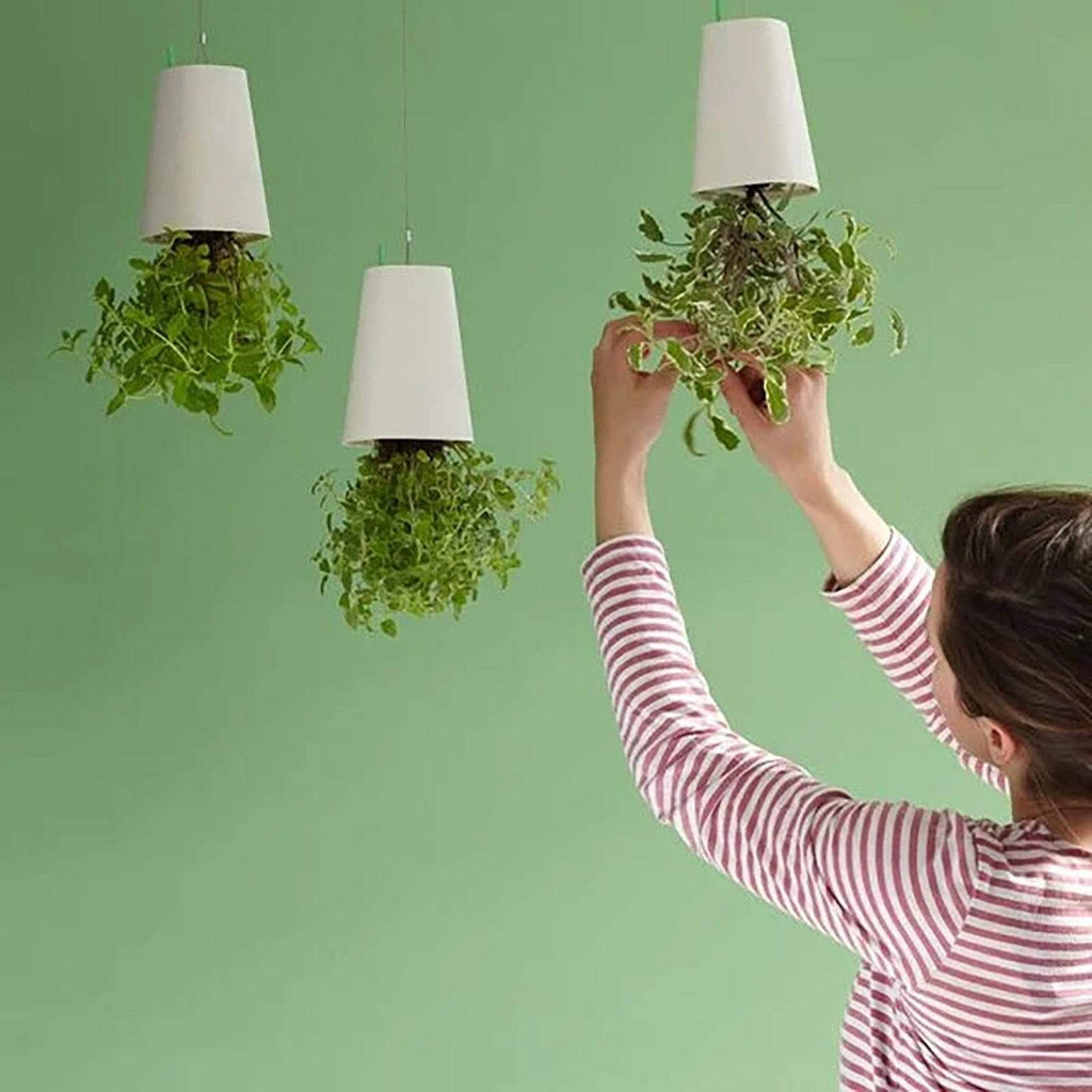 Sky Garden - Upside - Down Plant Flower Pot Hanging Planter - Quincelle.co