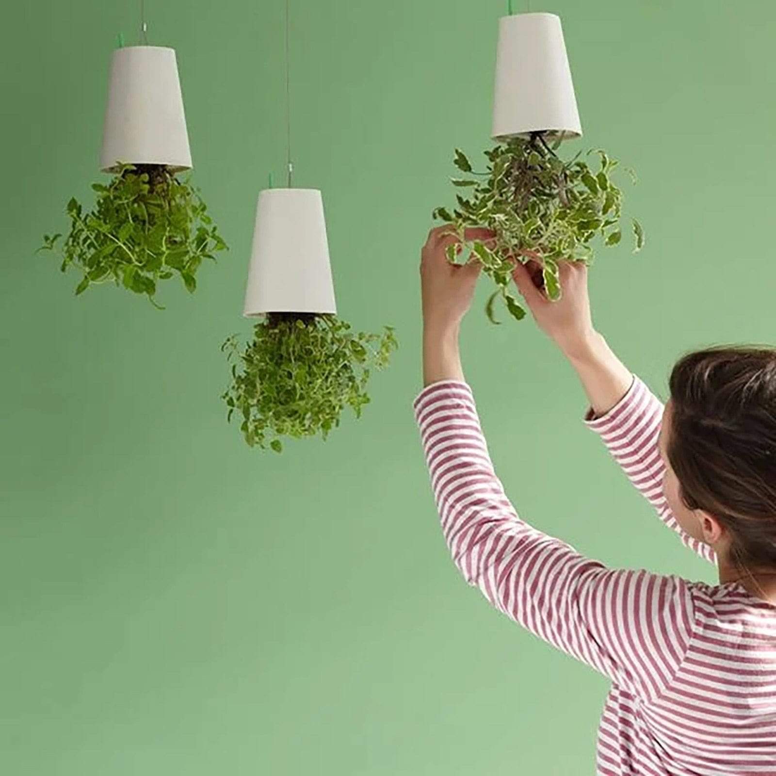 Sky Garden - Upside - Down Plant Flower Pot Hanging Planter - Quincelle.co