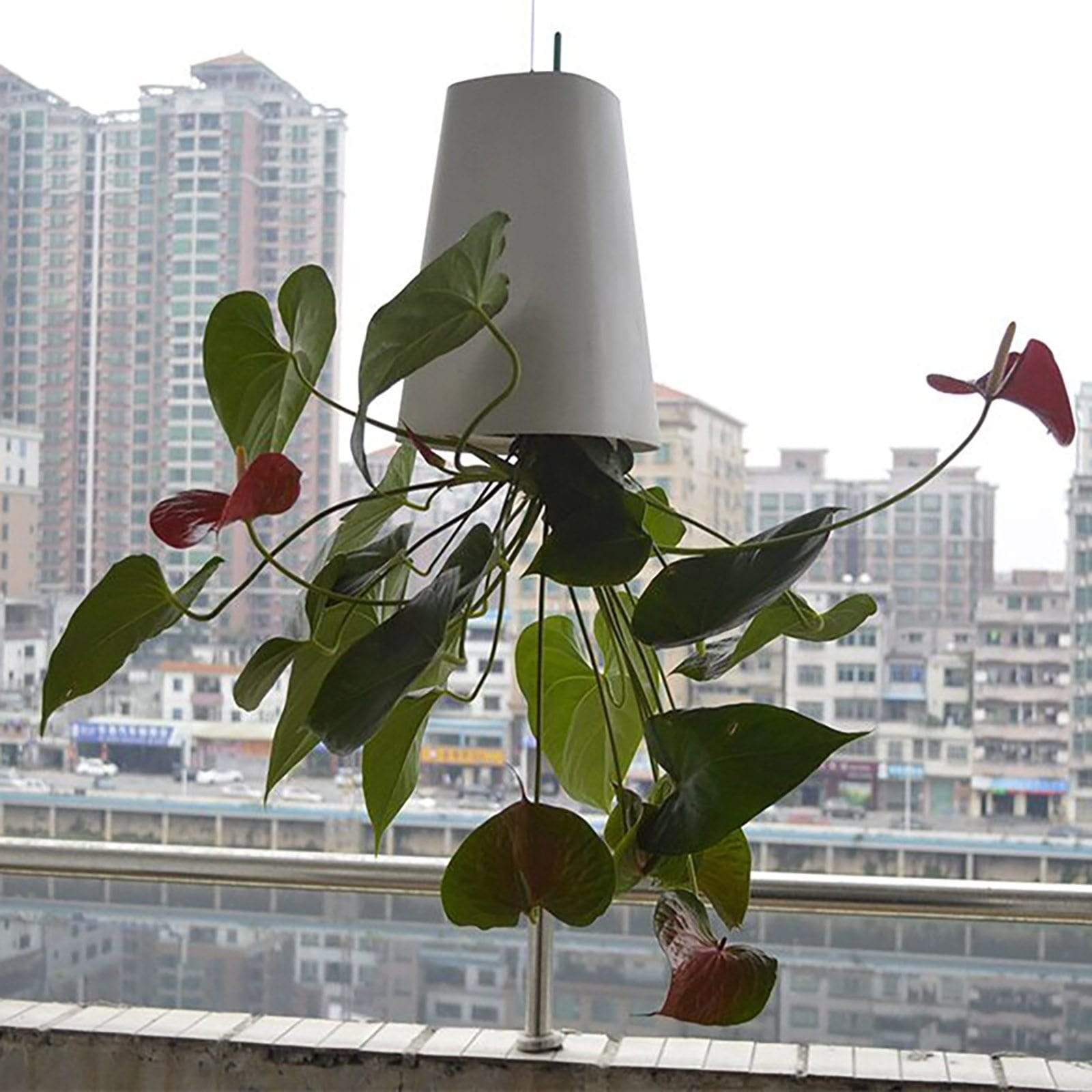 Sky Garden - Upside - Down Plant Flower Pot Hanging Planter - Quincelle.co