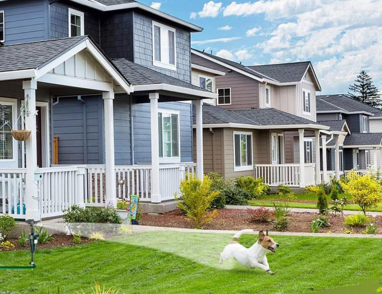 Solar - Powered Motion - Activated Animal Repellent | Humanely Guard Your Garden - Quincelle.co