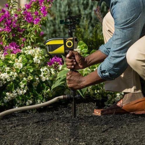 Solar - Powered Motion - Activated Animal Repellent | Humanely Guard Your Garden - Quincelle.co