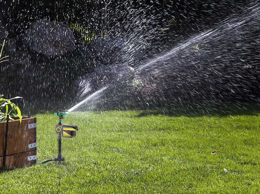 Solar - Powered Motion - Activated Animal Repellent | Humanely Guard Your Garden - Quincelle.co