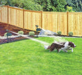 Solar - Powered Motion - Activated Animal Repellent | Humanely Guard Your Garden - Quincelle.co