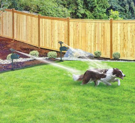 Solar - Powered Motion - Activated Animal Repellent | Humanely Guard Your Garden - Quincelle.co