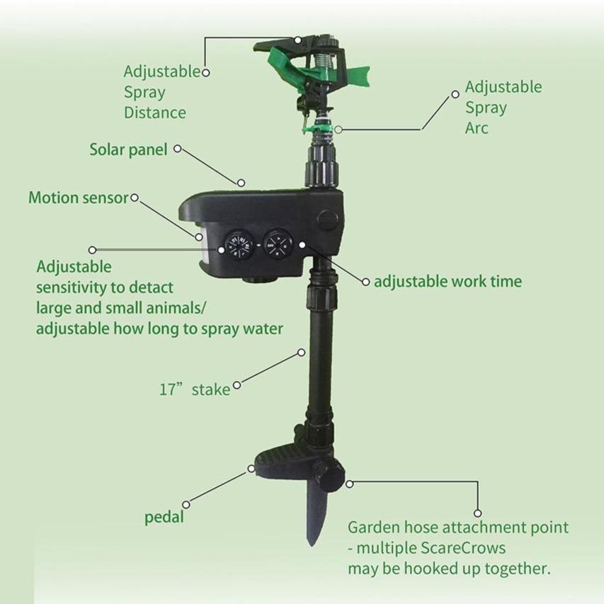 Solar - Powered Motion - Activated Animal Repellent | Humanely Guard Your Garden - Quincelle.co